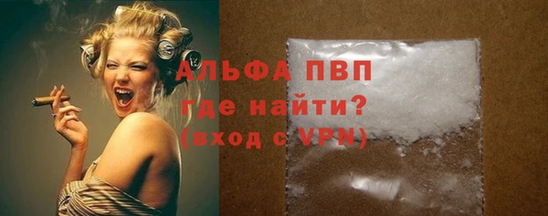 ПСИЛОЦИБИНОВЫЕ ГРИБЫ Осинники