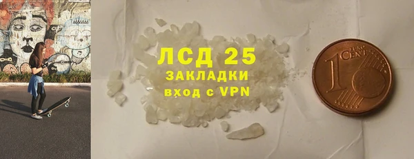 ПСИЛОЦИБИНОВЫЕ ГРИБЫ Осинники