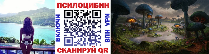 Псилоцибиновые грибы Psilocybe Жигулёвск